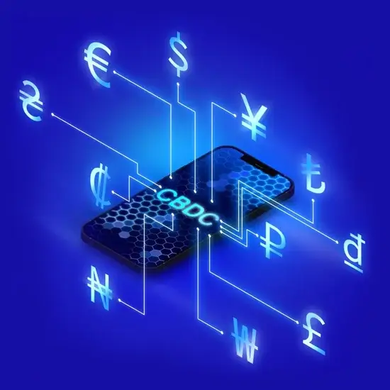 CBDC Development Company